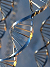 Chromosome DNA
