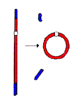 Chromosome Ring 22